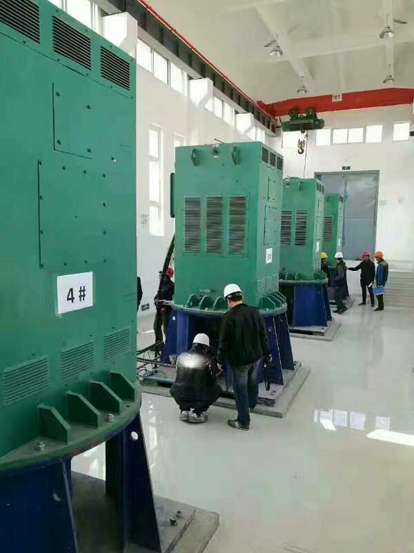 龙华某污水处理厂使用我厂的立式高压电机安装现场